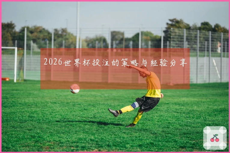 2026世界杯投注的策略与经验分享