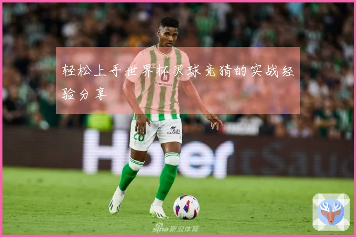 轻松上手世界杯买球竞猜的实战经验分享