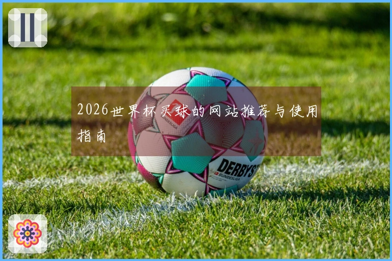 2026世界杯买球的网站推荐与使用指南