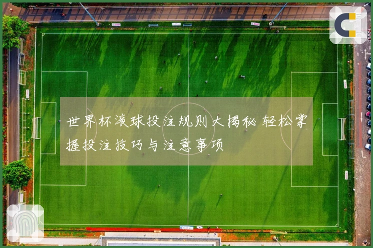世界杯滚球投注规则大揭秘 轻松掌握投注技巧与注意事项